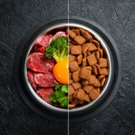 Kaj pomeni delež surovih beljakovin?