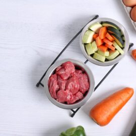 Naravna hrana za pse: Popoln vodnik za lastnike, ki želijo več za svojega psa