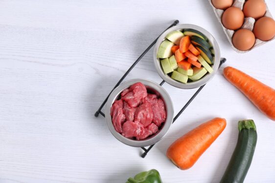 Naravna hrana za pse