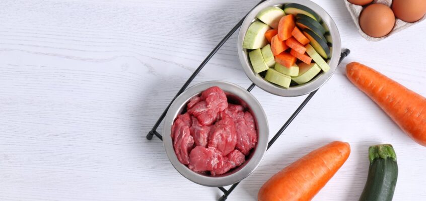 Naravna hrana za pse