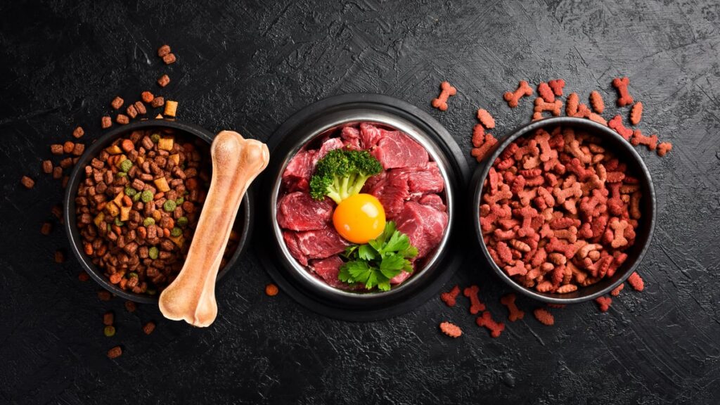 Naravna hrana za pse