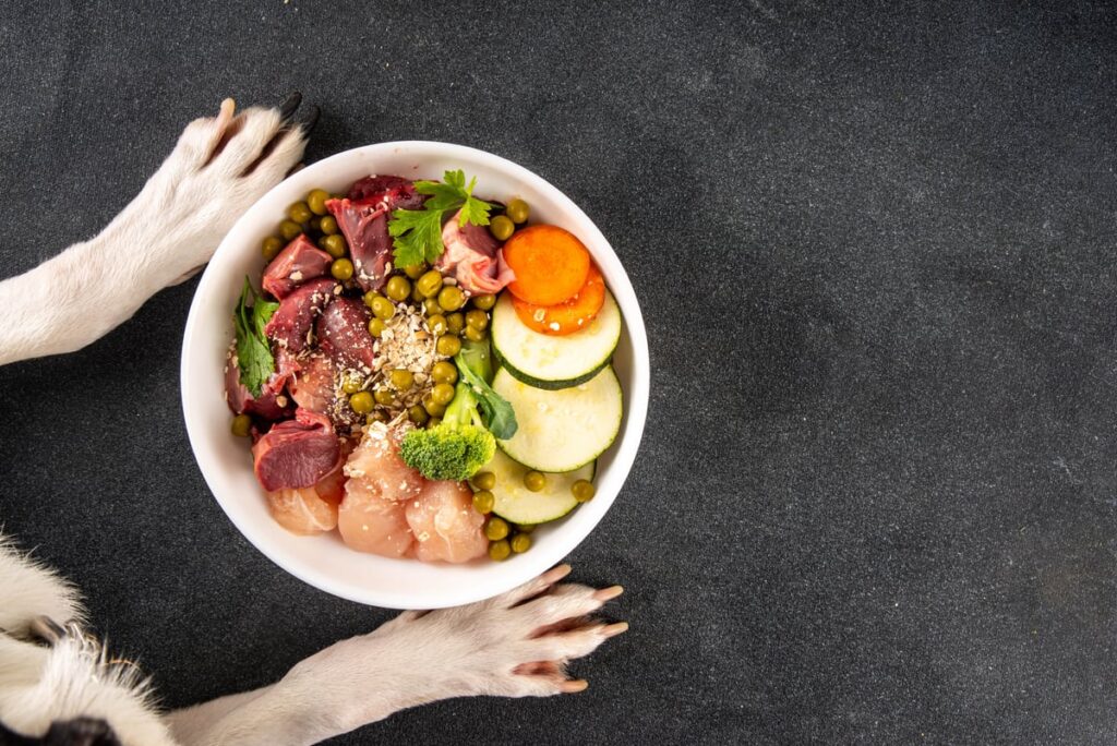 Surove beljakovine v pasji hrani